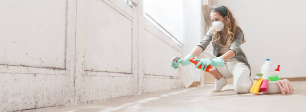 Why You Should Choose Our Mold Remediation Services in Halfway House, PA